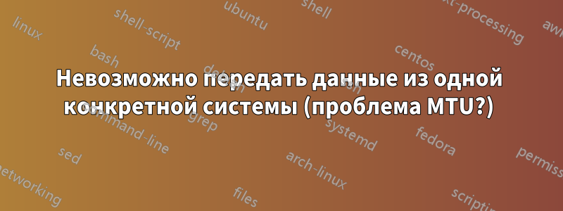 Невозможно передать данные из одной конкретной системы (проблема MTU?)