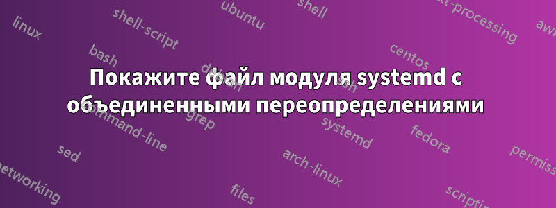 Покажите файл модуля systemd с объединенными переопределениями