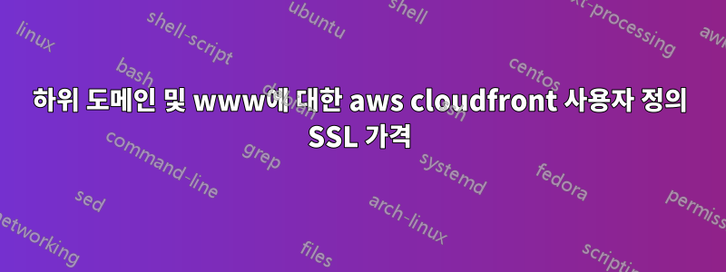 하위 도메인 및 www에 대한 aws cloudfront 사용자 정의 SSL 가격