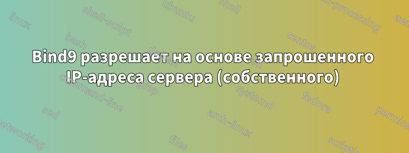 Bind9 разрешает на основе запрошенного IP-адреса сервера (собственного)