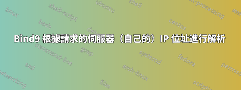 Bind9 根據請求的伺服器（自己的）IP 位址進行解析
