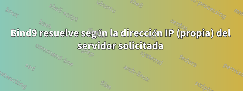 Bind9 resuelve según la dirección IP (propia) del servidor solicitada