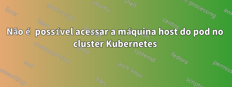 Não é possível acessar a máquina host do pod no cluster Kubernetes
