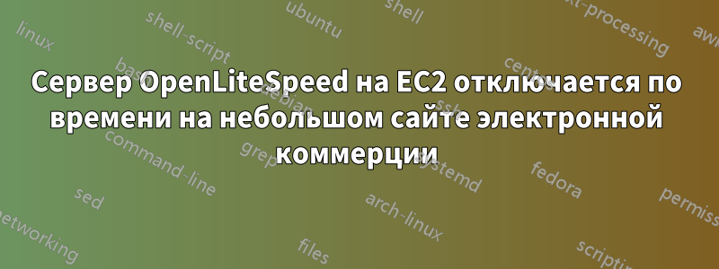 Сервер OpenLiteSpeed ​​на EC2 отключается по времени на небольшом сайте электронной коммерции