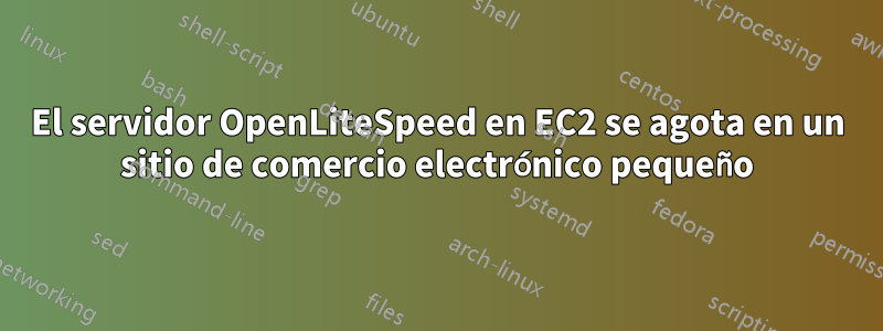 El servidor OpenLiteSpeed ​​en EC2 se agota en un sitio de comercio electrónico pequeño