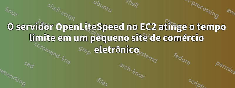 O servidor OpenLiteSpeed ​​no EC2 atinge o tempo limite em um pequeno site de comércio eletrônico