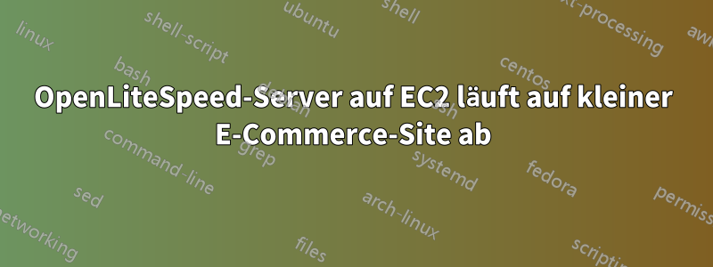 OpenLiteSpeed-Server auf EC2 läuft auf kleiner E-Commerce-Site ab