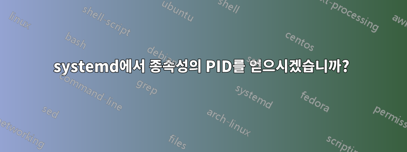 systemd에서 종속성의 PID를 얻으시겠습니까?