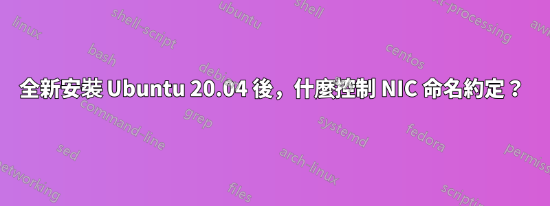 全新安裝 Ubuntu 20.04 後，什麼控制 NIC 命名約定？