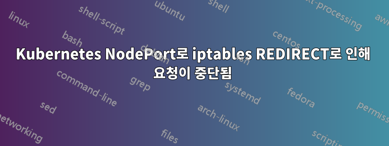 Kubernetes NodePort로 iptables REDIRECT로 인해 요청이 중단됨
