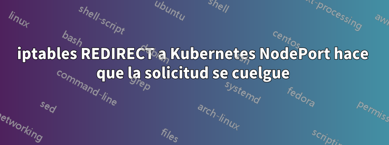 iptables REDIRECT a Kubernetes NodePort hace que la solicitud se cuelgue