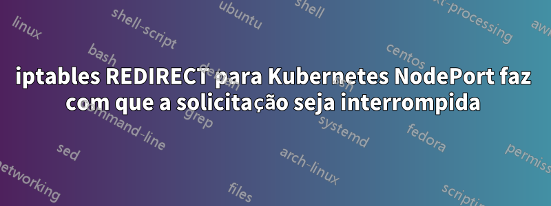 iptables REDIRECT para Kubernetes NodePort faz com que a solicitação seja interrompida