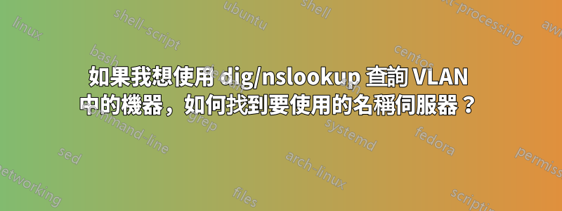 如果我想使用 dig/nslookup 查詢 VLAN 中的機器，如何找到要使用的名稱伺服器？