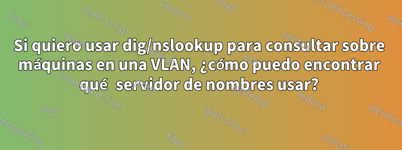 Si quiero usar dig/nslookup para consultar sobre máquinas en una VLAN, ¿cómo puedo encontrar qué servidor de nombres usar?