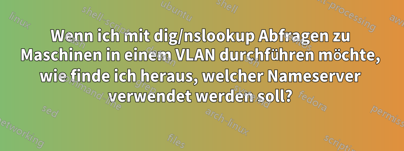 Wenn ich mit dig/nslookup Abfragen zu Maschinen in einem VLAN durchführen möchte, wie finde ich heraus, welcher Nameserver verwendet werden soll?