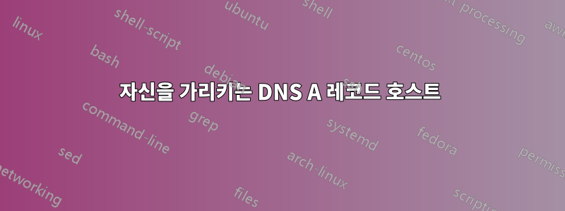 자신을 가리키는 DNS A 레코드 호스트