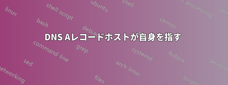 DNS Aレコードホストが自身を指す
