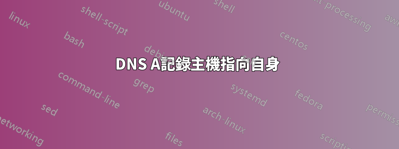 DNS A記錄主機指向自身