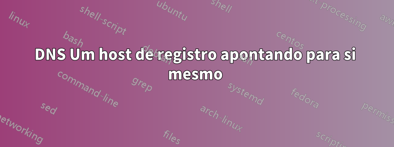 DNS Um host de registro apontando para si mesmo