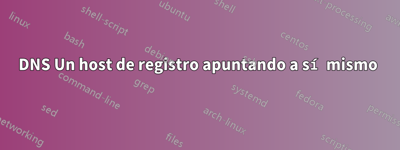 DNS Un host de registro apuntando a sí mismo