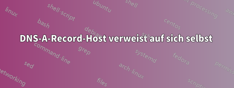 DNS-A-Record-Host verweist auf sich selbst