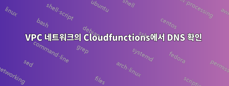 VPC 네트워크의 Cloudfunctions에서 DNS 확인