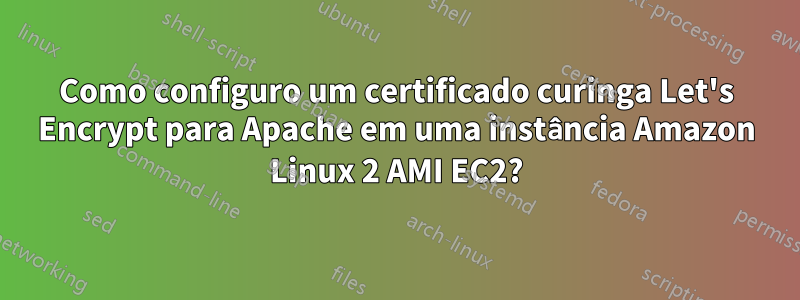 Como configuro um certificado curinga Let's Encrypt para Apache em uma instância Amazon Linux 2 AMI EC2?