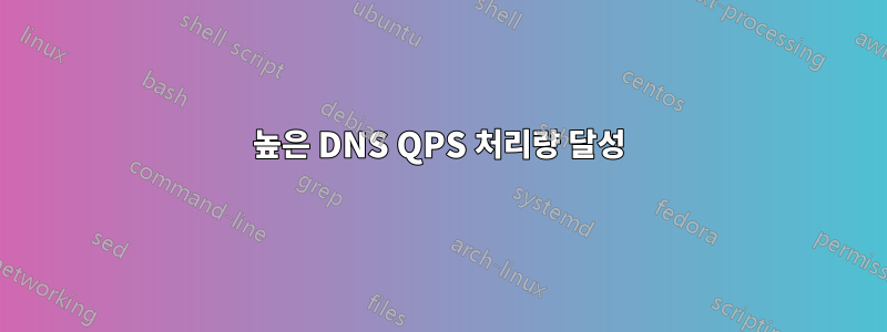높은 DNS QPS 처리량 달성
