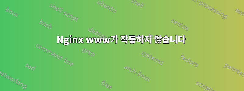 Nginx www가 작동하지 않습니다