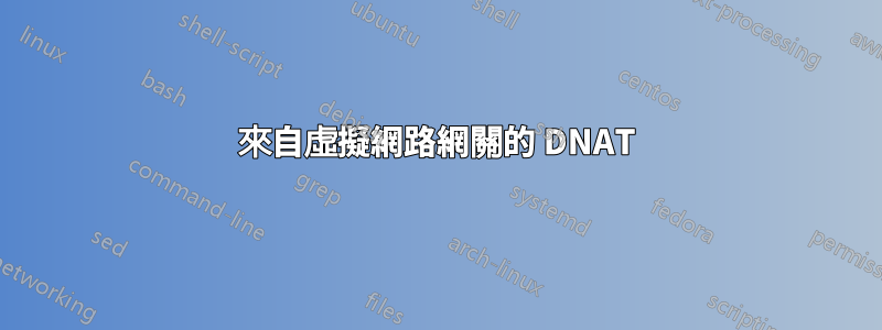 來自虛擬網路網關的 DNAT