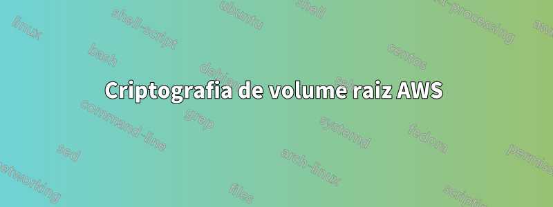 Criptografia de volume raiz AWS