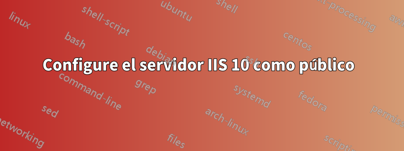 Configure el servidor IIS 10 como público 