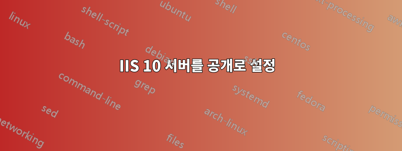 IIS 10 서버를 공개로 설정 