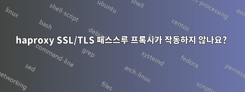 haproxy SSL/TLS 패스스루 프록시가 작동하지 않나요?