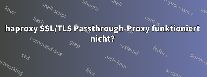 haproxy SSL/TLS Passthrough-Proxy funktioniert nicht?