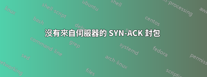 沒有來自伺服器的 SYN-ACK 封包