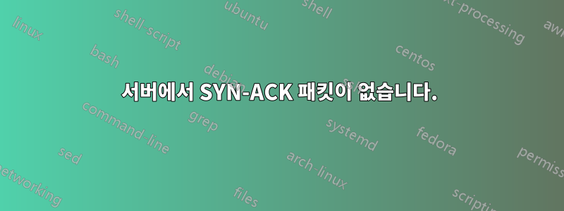 서버에서 SYN-ACK 패킷이 없습니다.