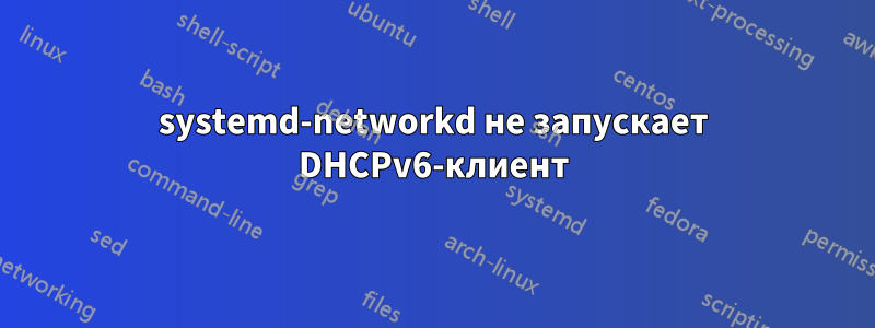 systemd-networkd не запускает DHCPv6-клиент