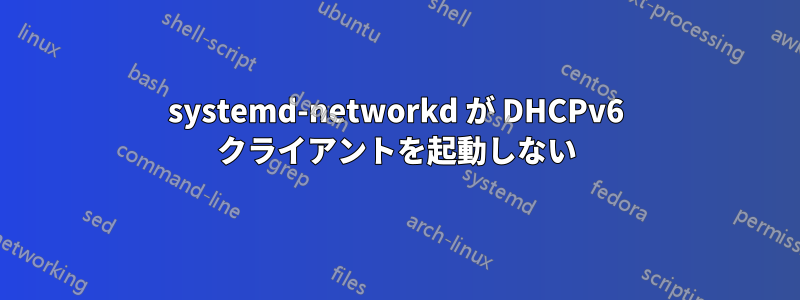 systemd-networkd が DHCPv6 クライアントを起動しない
