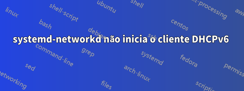 systemd-networkd não inicia o cliente DHCPv6