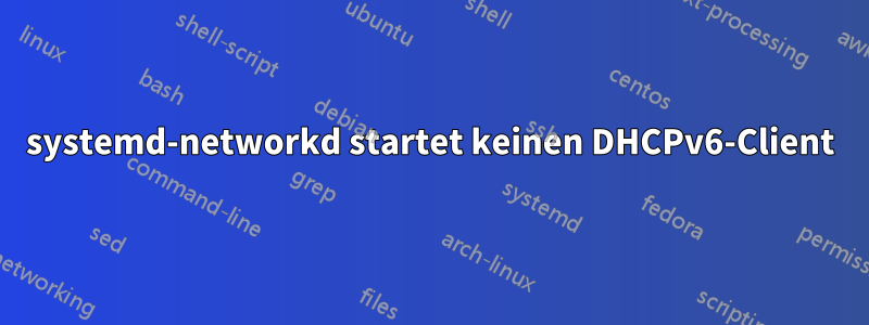 systemd-networkd startet keinen DHCPv6-Client