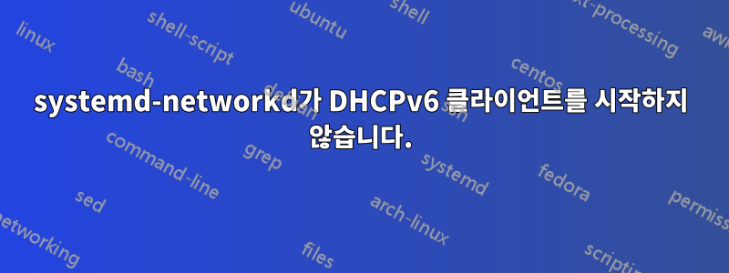 systemd-networkd가 DHCPv6 클라이언트를 시작하지 않습니다.