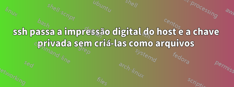 ssh passa a impressão digital do host e a chave privada sem criá-las como arquivos