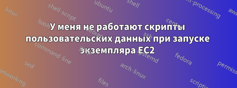 У меня не работают скрипты пользовательских данных при запуске экземпляра EC2
