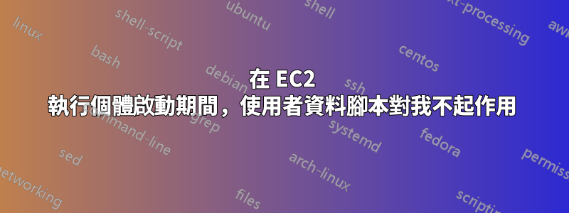 在 EC2 執行個體啟動期間，使用者資料腳本對我不起作用