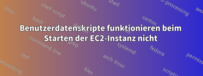 Benutzerdatenskripte funktionieren beim Starten der EC2-Instanz nicht