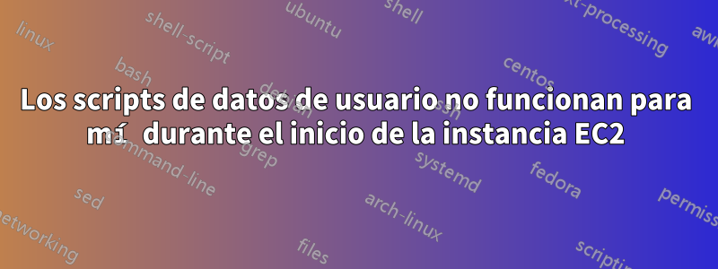 Los scripts de datos de usuario no funcionan para mí durante el inicio de la instancia EC2