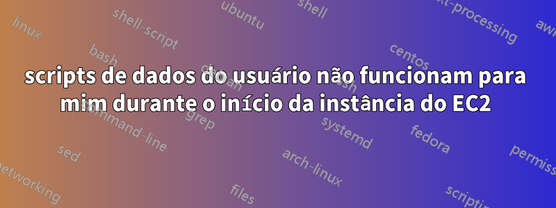 scripts de dados do usuário não funcionam para mim durante o início da instância do EC2