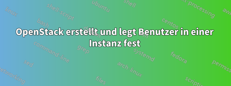 OpenStack erstellt und legt Benutzer in einer Instanz fest