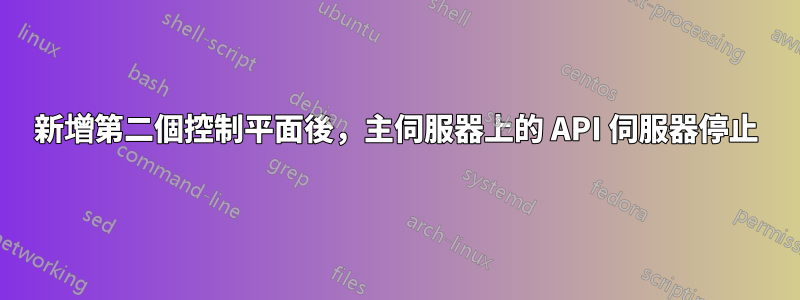 新增第二個控制平面後，主伺服器上的 API 伺服器停止